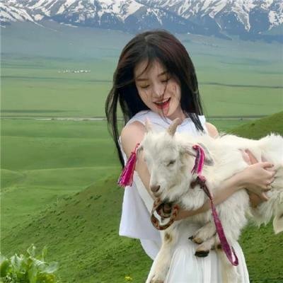 绿豚街影
